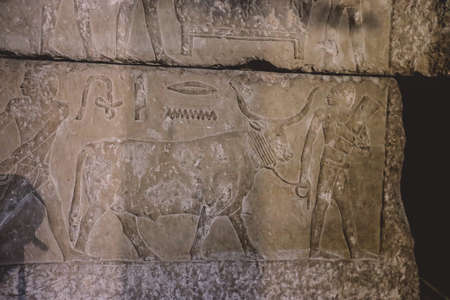 Cairo, Egypt - November 02, 2021: Interesting Ancient Paintings and Engravings with Hieroglyphics symbols in the Cairo Egyptian Museum, the oldest archaeological museum in the Middle Eastのeditorial素材