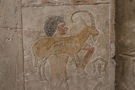 Cairo, Egypt - November 02, 2021: Interesting Ancient Paintings and Engravings with Hieroglyphics symbols in the Cairo Egyptian Museum, the oldest archaeological museum in the Middle Eastのeditorial素材