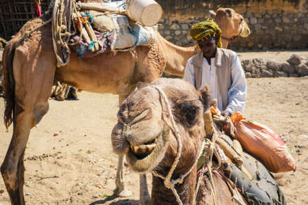 Keren, Eritrea - November 03, 2019: Camel Seller in Traditional Eritrean Dress on the Animal Marketのeditorial素材