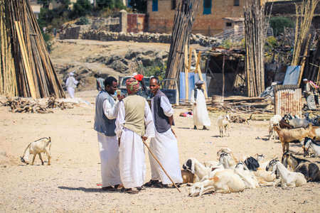 Keren, Eritrea - November 03, 2019: Goats Men Seller in Traditional White Dress on the Local Animal Marketのeditorial素材