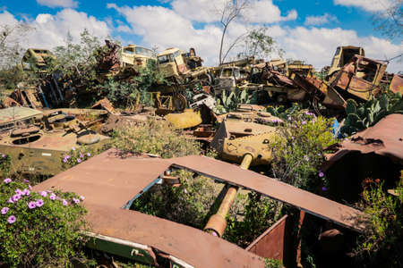 Destroyed War Machines and Tanks rounded by Cactuses on the Tank Graveyard in Asmara, Eritreaの写真素材
