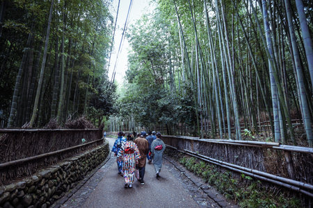 Tranquility walking in the Kyoto Bamboo Forest, Japanのeditorial素材