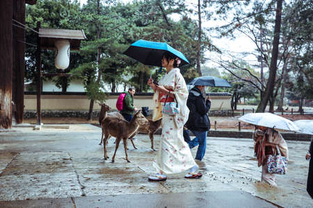 Nara, Japan - January 09, 2020: Rainy and Cloudy Cityscape View to the Nara City Streets and Buildingsのeditorial素材
