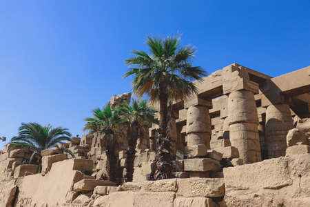Ancient Egyptian Ruins of the Karnak Temple Complex with the Palm Trees in background near Luxorの写真素材