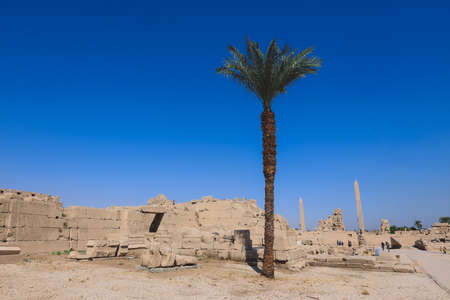 Ancient Egyptian Ruins of the Karnak Temple Complex with the Palm Trees in background near Luxor, Egyptの写真素材