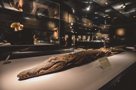 Luxor, Egypt - November 13, 2020:  Ancient Egyptian Exhibits of the  archaeological Mummification Museum in Upper Egyptのeditorial素材