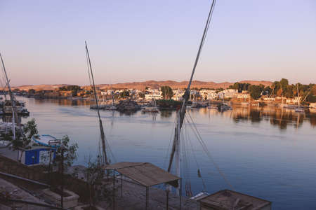 Sunset View to the Panoramic Aswan cityscape with the Palm Trees, Egyptの写真素材