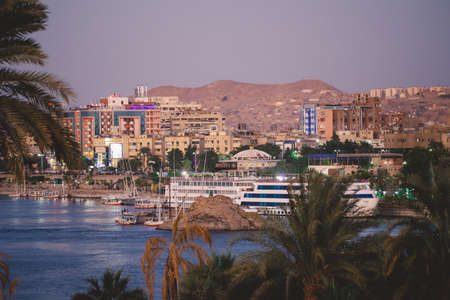 Sunset View to the Panoramic Aswan cityscape with the Palm Trees, Egyptの写真素材