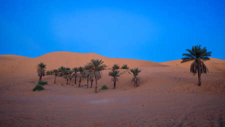 Amazing View to the Golden Sahara Desert Sands near the oasis town Taghit, Algeriaの写真素材