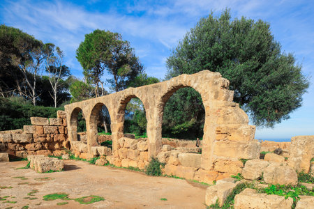 Ancient Ruins of Roman Tipasa with the Nice View to the Mediterranean coastline near Tipaza city, Algeriaの写真素材