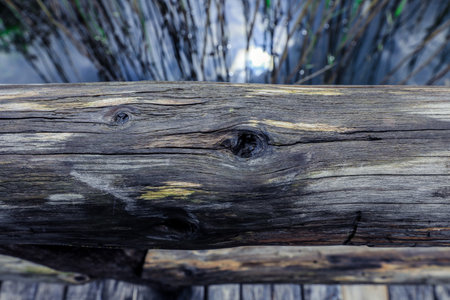 Natural Wooden and Stone Textures in Grey Colors