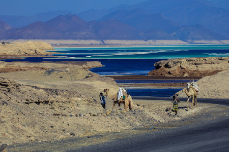 Salty Coastline of the Lake Assal, Djibouti