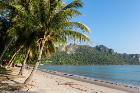 <p>Beautiful White Sandy Beach with Coconut Palms in Thailand</p>の写真素材