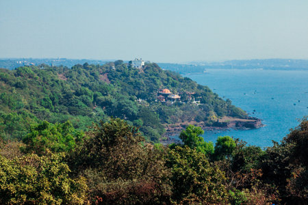 Beauty of Goa Nature with Palm Trees and Beach, Indiaの写真素材