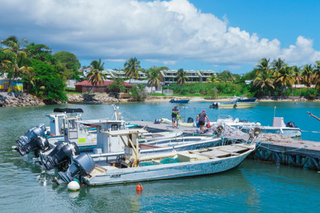 Colorful Sailing Boats in the Port of Guadeloupe, Caribbean islandsの写真素材