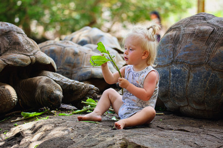 Little Boy Sitting on Rock With Tortoiseの写真素材