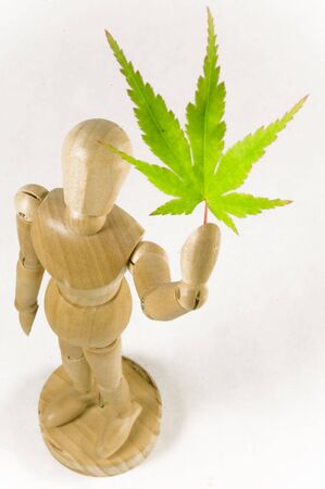 A wooden man holds a maple leaf upの写真素材
