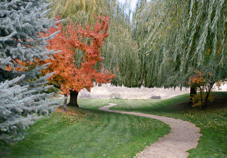 Manicured winding park trailの写真素材