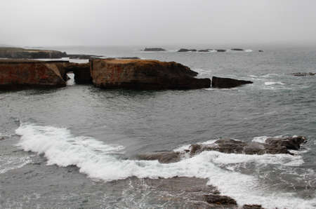 Waves on fog shrouded rocky calif coastline cliffの写真素材