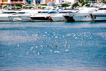 Docked yachts in dock of Cambrils, Spainの写真素材