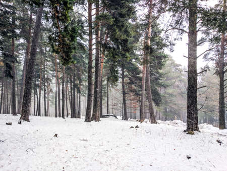 Snow landscape in winter (Spain).の写真素材