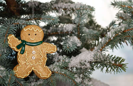 Christmas ginger bread boy on tree with snowの写真素材