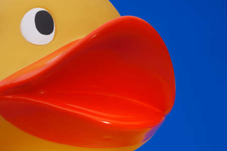 close up of rubber duck on blue backgroundの写真素材