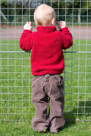 looking through the fenceの写真素材