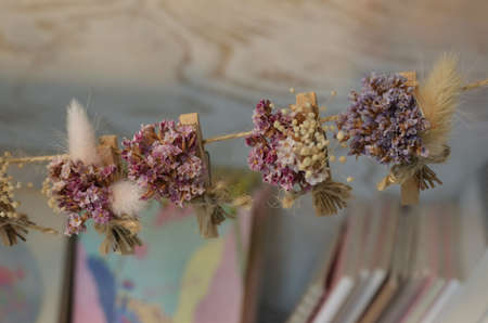 dried flowerの写真素材