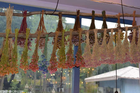 dried flowerの写真素材