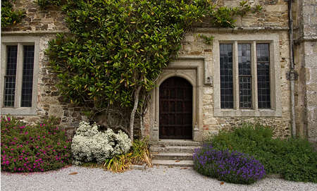 Part of a 19th century house showing the back door surrounded by plants