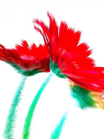 Momentsの写真素材