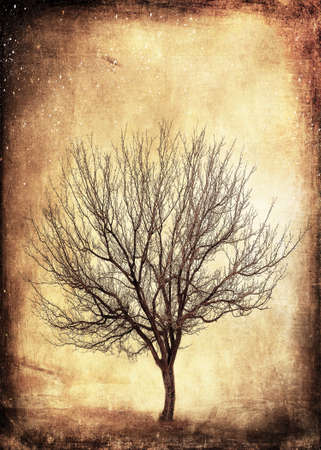 The Awakeningの写真素材