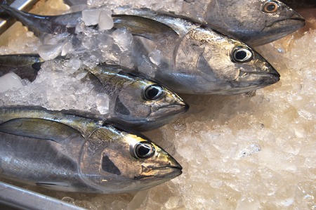 Fresh fish for sale in the marketの写真素材