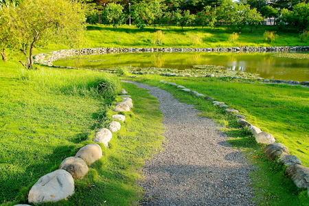 Countryside road along with the rural scenery