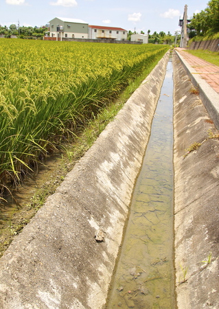 Irrigation ditch of rice field in the countrysideの写真素材