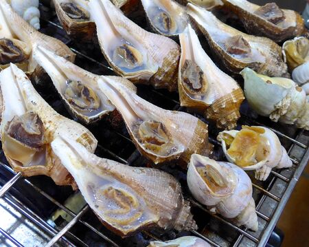 Grilled conch closeup at marketの写真素材