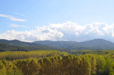 Mountain of Montseny Cataloniaの写真素材