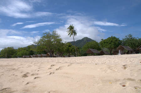 Palm trees on a beach in the Philippines 