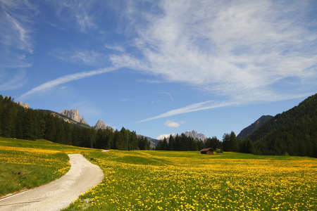 landscapeの写真素材