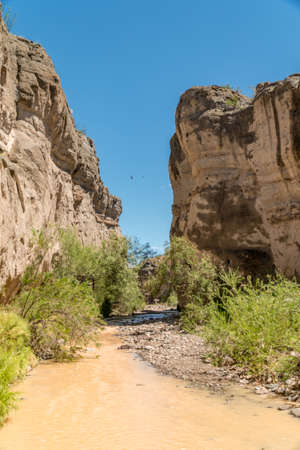 Birds in Tuff Canyonの写真素材