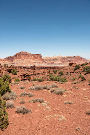 Off Trail View at Sunset Trail Pointの写真素材