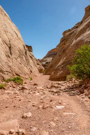 Start of Capitol Gorge Trailの写真素材