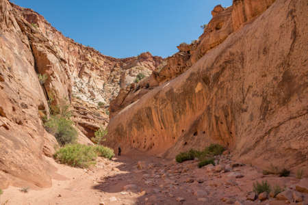 Deep in Capitol Gorge Trailの写真素材