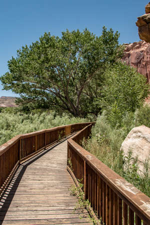 Boardwalk near Fruita Orchardsの写真素材