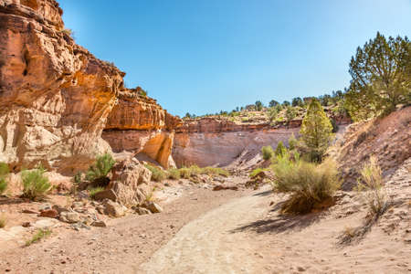 Dry Creek Bedの写真素材