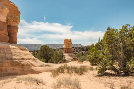 Valley View of the Gardensの写真素材