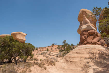 Gateway into the Gardensの写真素材