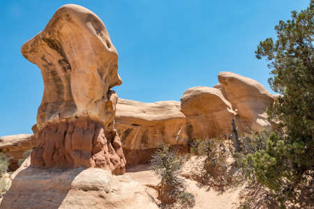 Face of the Devilの写真素材