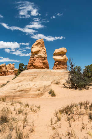 Two Points of the Gardensの写真素材